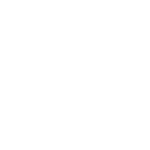 Ant icon